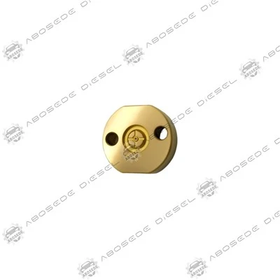 509# Goldene Ventilplatte für Denso-Common-Rail-Injektoren – Produktdetails