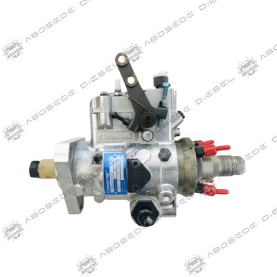 Stanadyne -Injektionskraftstoffpumpe DB 4429-5536